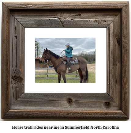 horse trail rides near me in Summerfield, North Carolina